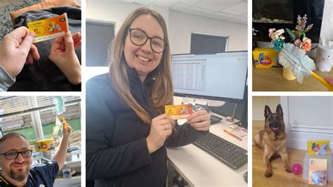 Toradh íomhá ar How to Clean Metallic Dust From Magnet