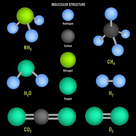 Molecular Compound Model
