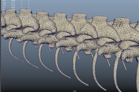 Image result for Python Skull Model