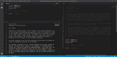 Toradh íomhá ar Visual Studio Header Like Exel