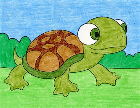 Image result for Turtle Drawing