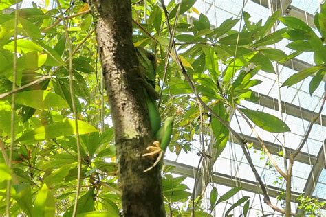 Entopia Map に対する画像結果