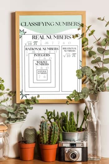 Image result for Classifying Numbers Chart