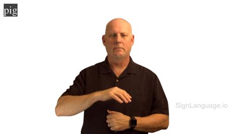 Afbeeldingsresultaten voor ASL Pig