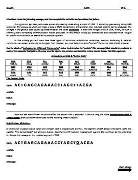 Image result for Protein Synthesis Mutations Worksheet