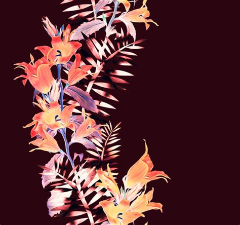 Toradh íomhá ar Bell Flower Drawing