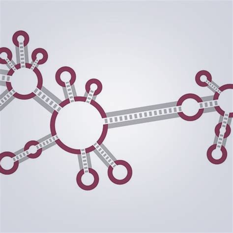 Afbeeldingsresultaten voor Distribution of Coding and Non-Coding