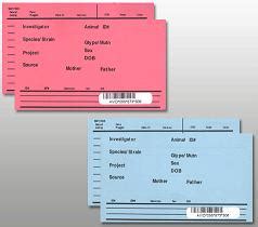 Image result for Lab Mouse Ring Tag