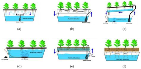 Image result for Drip Hydroponic Systems Diagram