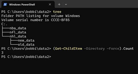 Image result for Count PowerShell Output