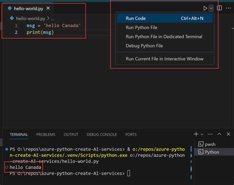 Working with Azure Python SDK Infra に対する画像結果