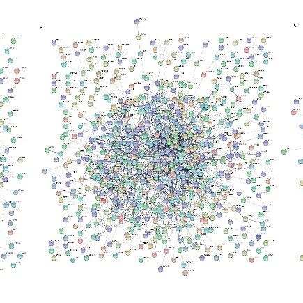 ISO String Database に対する画像結果