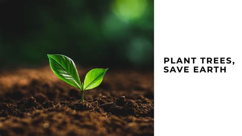 Image result for Plant a Tree and Save the Earth
