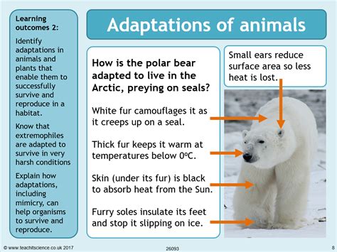 Image result for What Is Physical Adaptations for a Animal