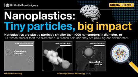 Image result for Microscope Plastic Particles