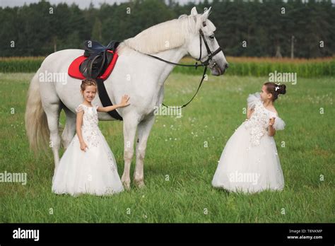 Image result for Princess Bride White Horse