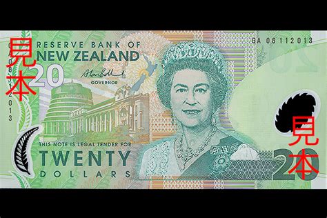 Image result for New $20.25