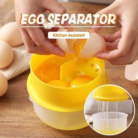 Image result for Assistant Egg Engineer