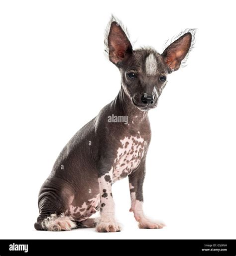 Image result for Ancient Mars Map