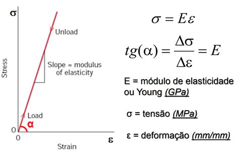 Elastischetijd Modulus に対する画像結果