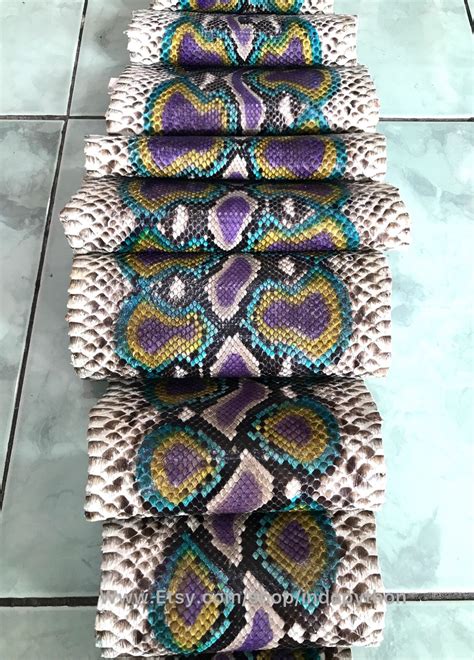 Image result for Leather Python Visual