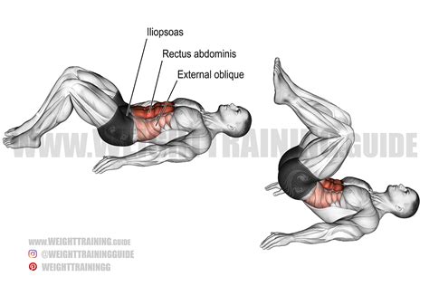 Image result for Image of Butterfly Reverse Crunch Exercise