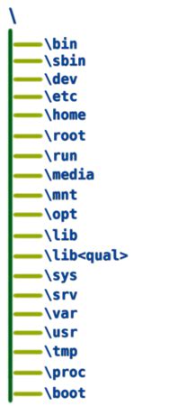 Image result for Types of Files in Unix