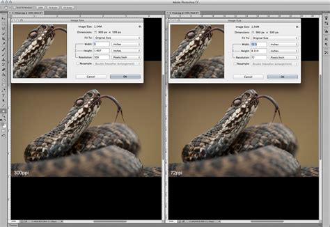 How to Calculate Pixel Resolution に対する画像結果