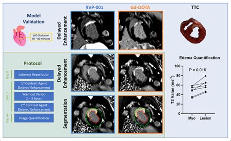 Image result for Model Validation Case Study Examples