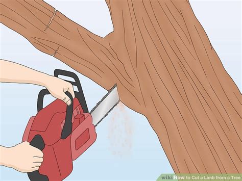 Image result for How to Cut Down a Tree Limb