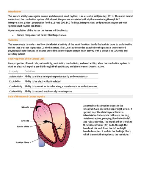 Afbeeldingsresultaten voor ECG Study