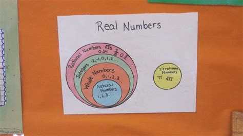 Image result for Organizing the Real Numbers