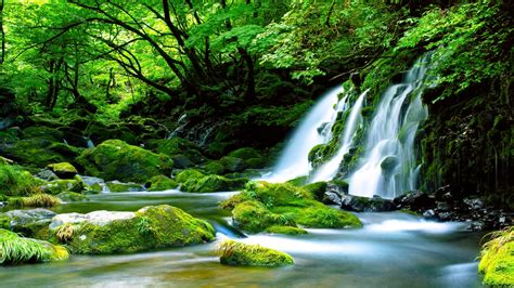 Toradh íomhá ar Nature Forest Spring Waterfall