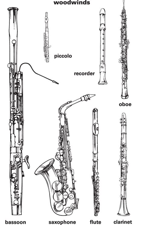 Image result for Woodwind Instruments Drawing