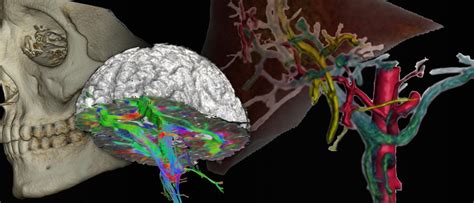 Image result for Path Lab 3D Photo