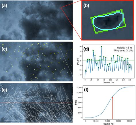 Image result for Computer Vision Pipeline