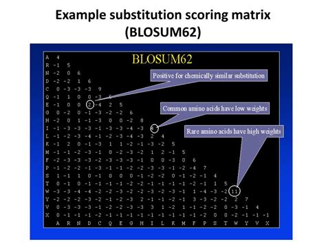 Image result for Conditional Distribution Simple Def