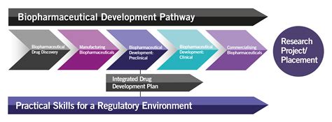 Afbeeldingsresultaten voor Biologics Development Timeline