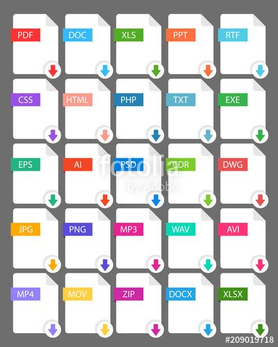 Image result for Vector Graphic Extension