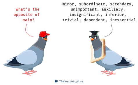 Image result for Main Synonym