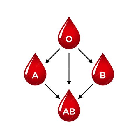 Image result for Blood Transfusion Rubric