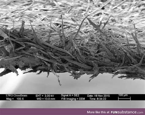 Image result for Microscope Side of Paper