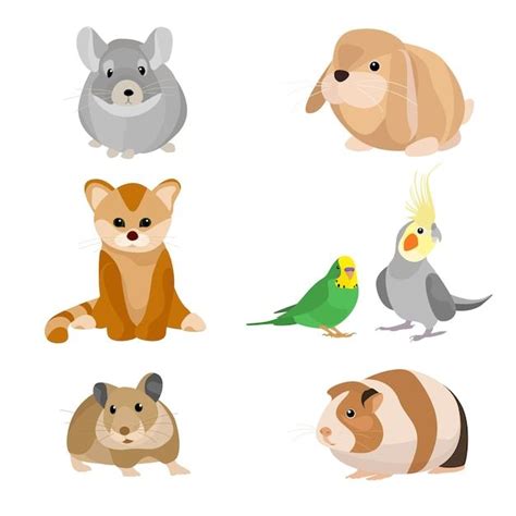 Image result for Different Types