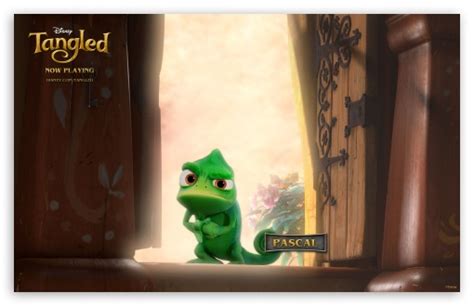 Image result for Pascal Tangled HD