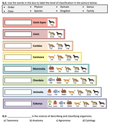 Image result for Classification and Taxonomy Worksheet.pdf
