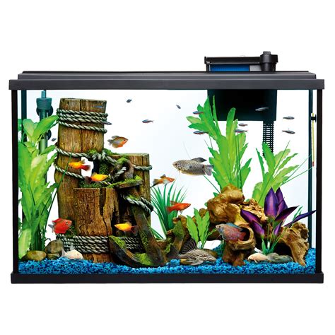 PetSmart 125 Gallon Aquarium に対する画像結果