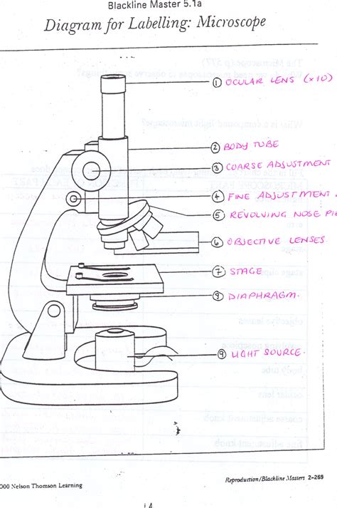 Image result for Labeled Diagram of a Compound Microscope