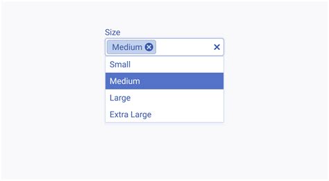 Image result for Multi Select in Software