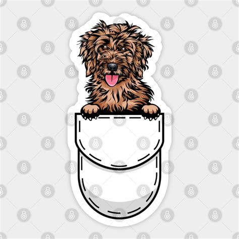 Afbeeldingsresultaten voor Funny Cockapoo