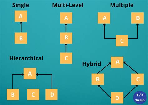 Image result for Inheritance Programming Example Flow Graph